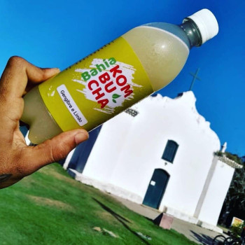 Bahia Kombucha
